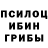 Псилоцибиновые грибы GOLDEN TEACHER Kostya Zayw