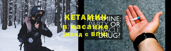 шишки Аркадак