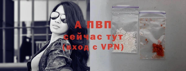 Альфа ПВП Пересвет