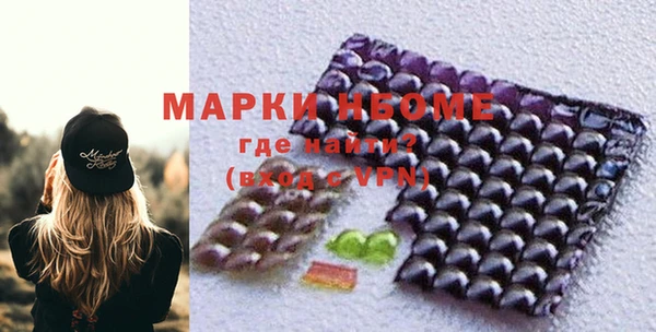 шишки Аркадак