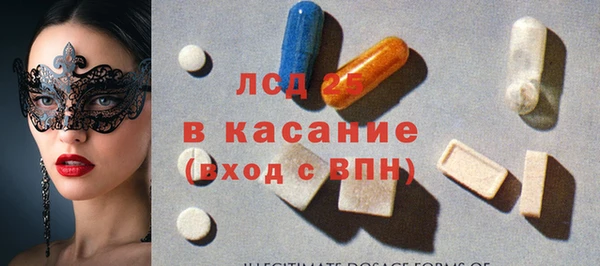 шишки Аркадак