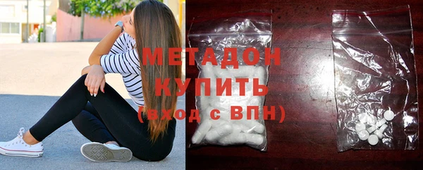 шишки Аркадак