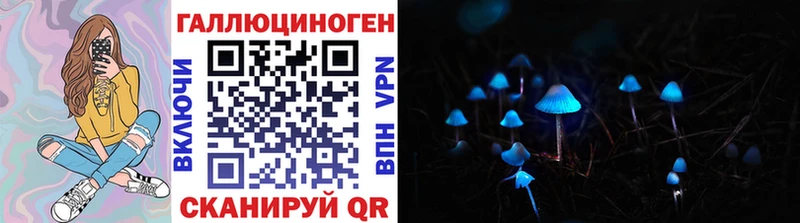 Псилоцибиновые грибы Psilocybe закладки Лахденпохья